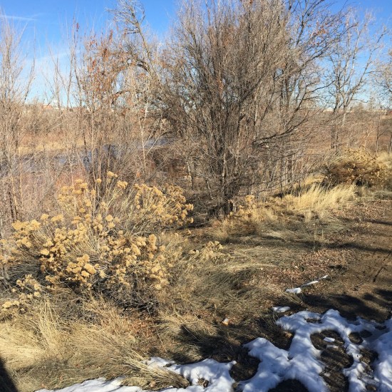 Platte river december day walk
