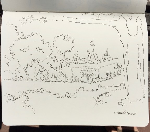 Sketch by Marilyn #2 at Botanic Gardens in July, Ink and Pencil in sketchbook