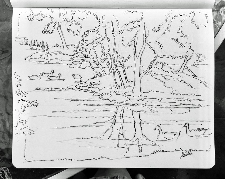 Sterne Park sketch by Marilyn, 8" x 10" pencil and pen